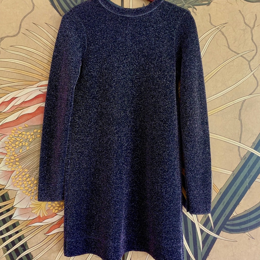 NWT Zara Knitt Dress